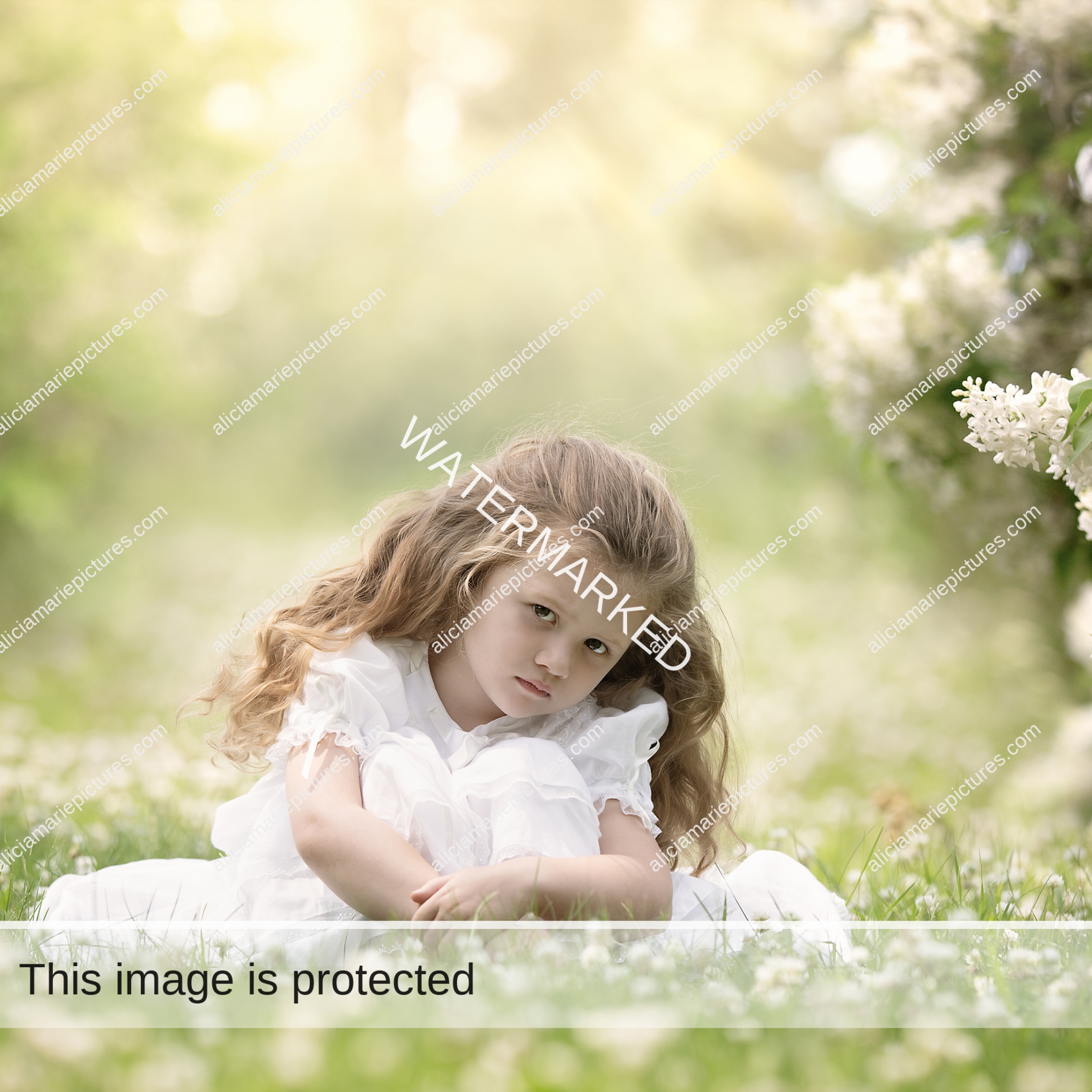 Fine art photography sad little girl in white dress in field of lilac flowers at golden hour