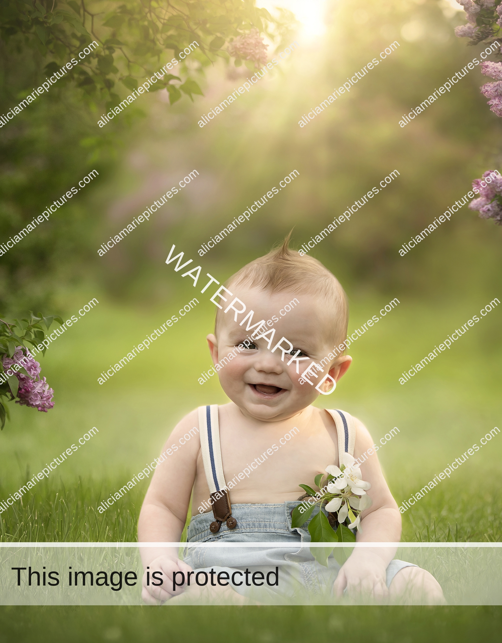 Fine art photography smiling baby boy sitting in glass by lilac bushes at golden hour