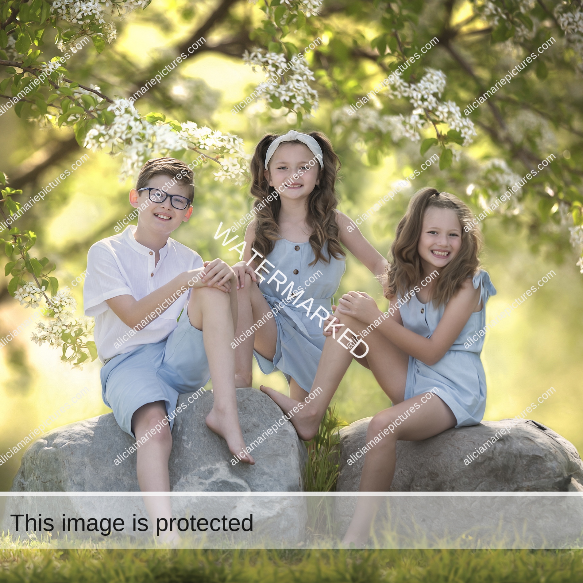 Three siblings posing on rock with flowering tree blossoms at golden hour