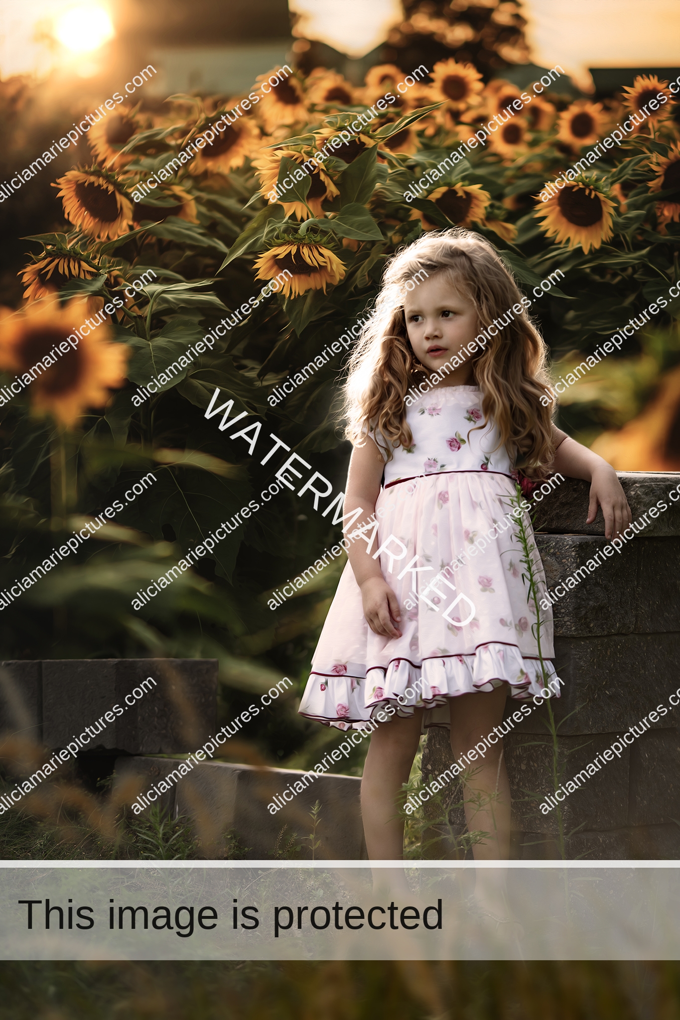 Little girl standing in sunflower field late summer golden hour sunset warm dark moody lighting