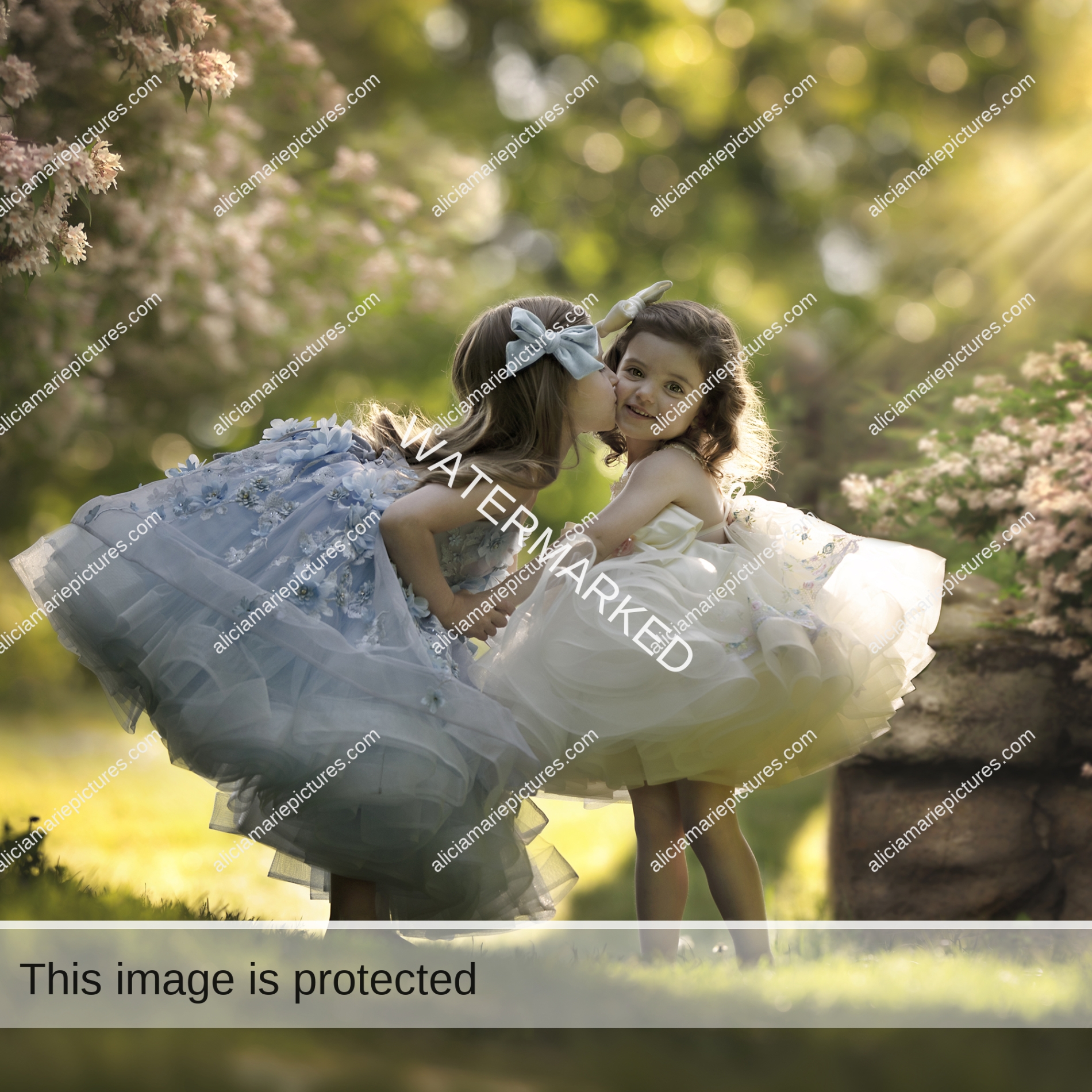 Fine art photography Big sister kissing little sister on cheek in couture dresses at golden hour