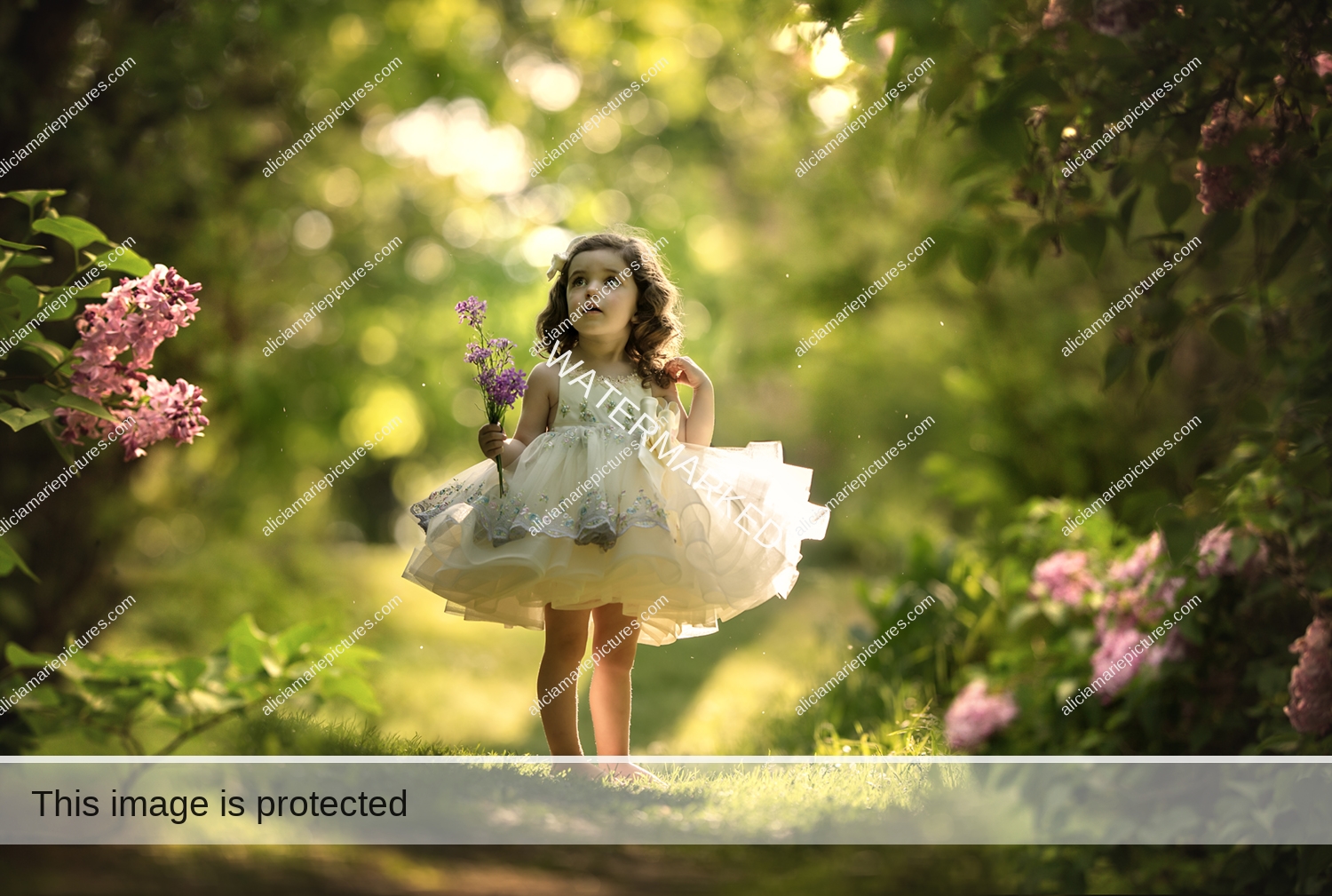 Fine art photography little girl holding purple flowers standing in couture dress at golden hour