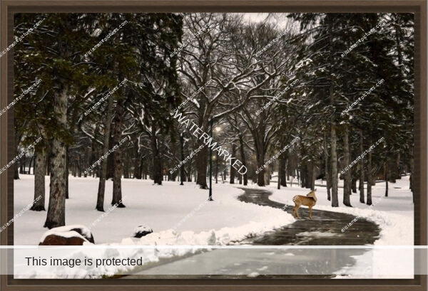 Winter pathway with deer. Vintage memory fine art photography print Fargo North Dakota