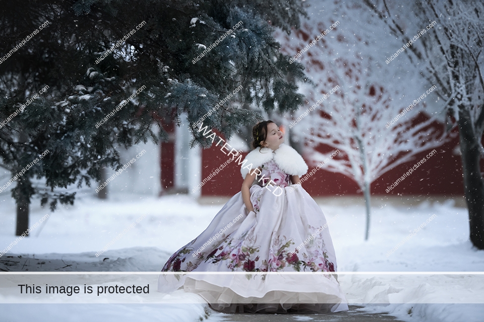 Young girl in couture gown dress. Snow frost winter fantasy. Fine art photography in Fargo, North Dakota