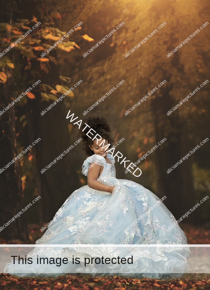 Black girl in blue dress gown autumn fall leaves. Fine art photography fargo north dakota